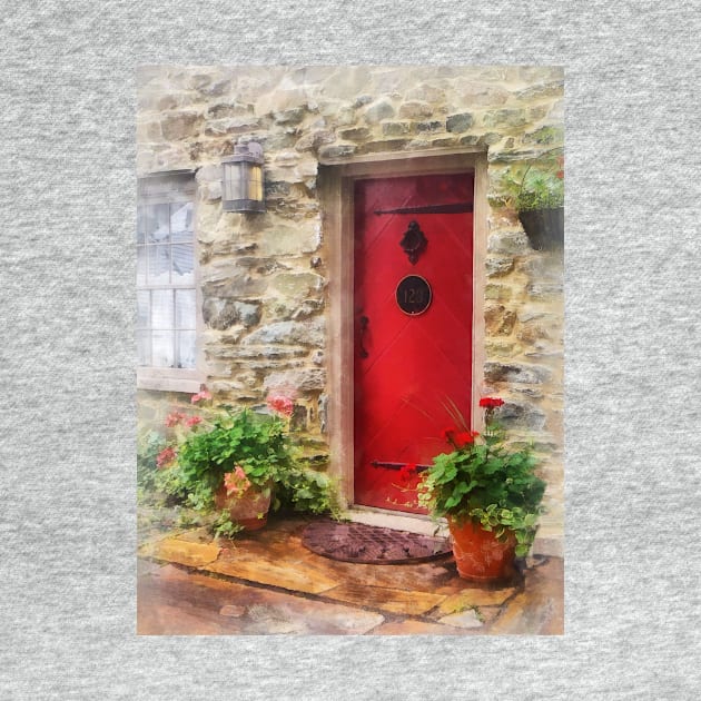 Suburbs - Geraniums by Red Door by SusanSavad